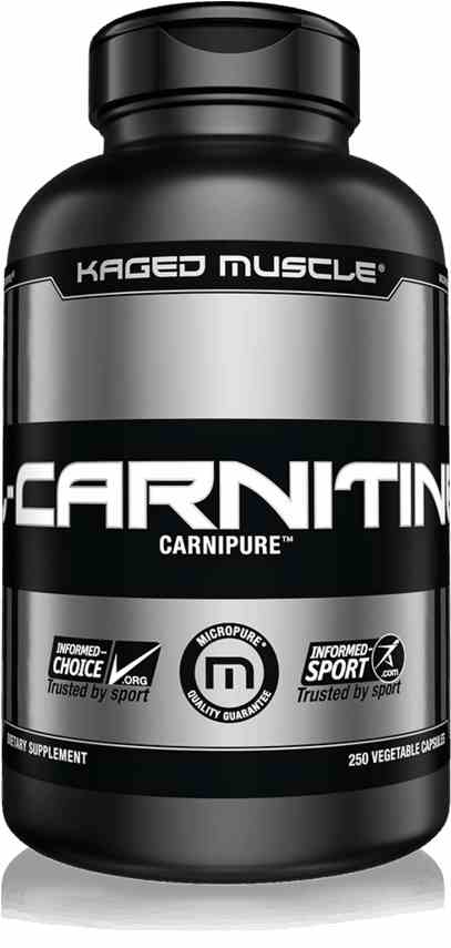 l-carnitine l-tartrate powder canada L-Carnitine Powder | L-Carnitine Supplements